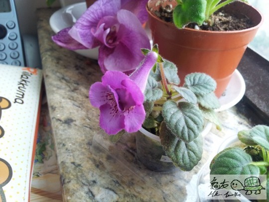 20120421_091034.jpg
