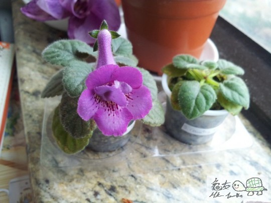 20120421_091055.jpg