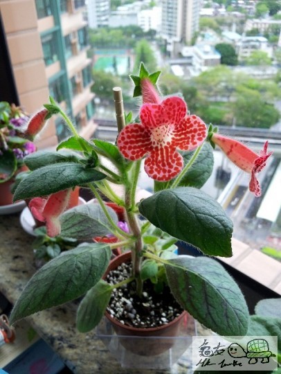 20120428_091342.jpg
