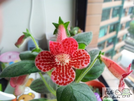 20120428_091443.jpg
