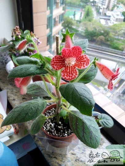 20120428_091522.jpg