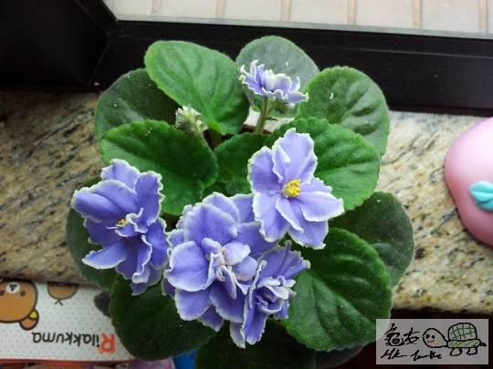 20120506_121843.jpg