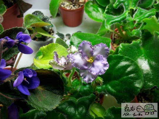 20120510_081639.jpg