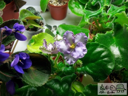 20120510_081652.jpg