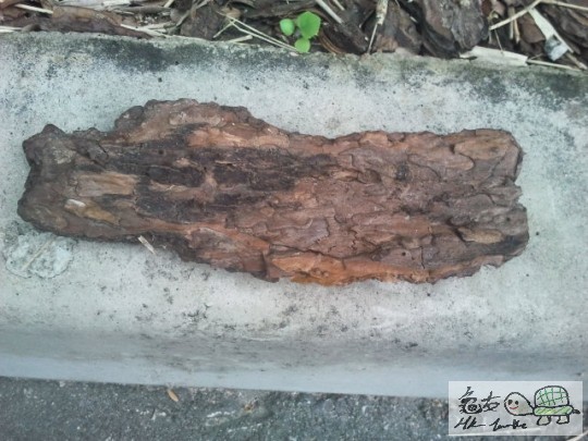 2012-05-31 16.11.34.jpg