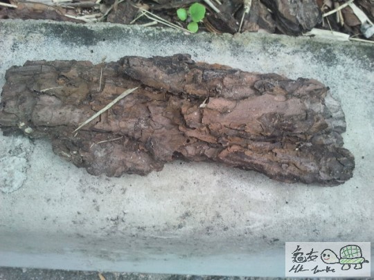 2012-05-31 16.11.42.jpg