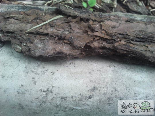 2012-05-31 16.11.50.jpg