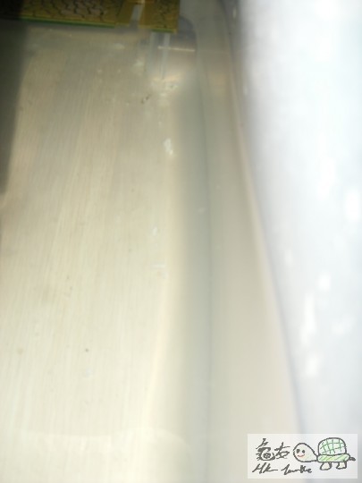 隻白板坐左响平台,gup高個patpat,就响尼個位置發現d蛋,幾多蛋白碎T.T