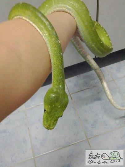 複製 -IMG_20120602_212154.jpg