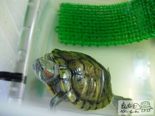 尋日整既瀑布,佢好似幾鐘意XD