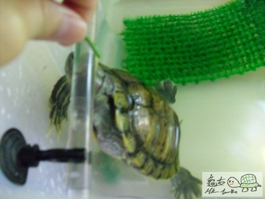 合作影相就有獎,不過佢咁食法有難度XD