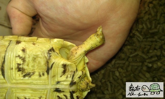 00083419l539loldn93l03.jpg