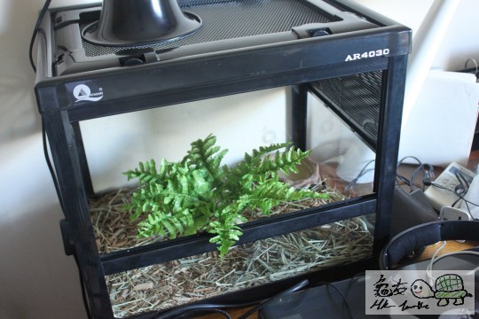 屋內居住環境(係我張台到XD)