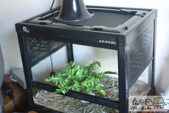 屋內居住環境(係我張台到XD)