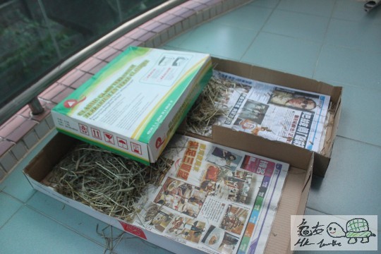 日頭冇睇住放下係露台曬~