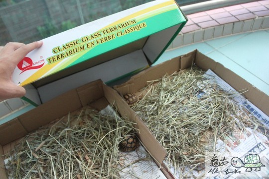 日頭冇睇住放下係露台曬~