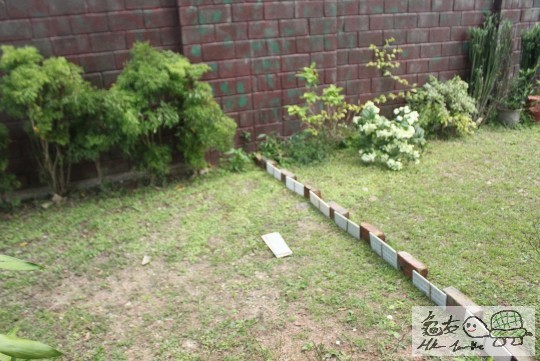 花園環境(睇住先放!)