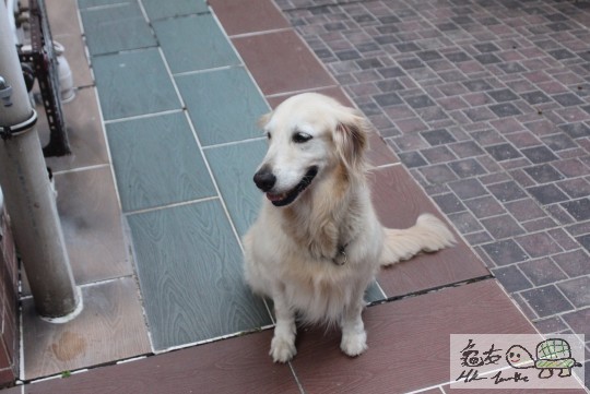 SHELBY 寫真第2張XD