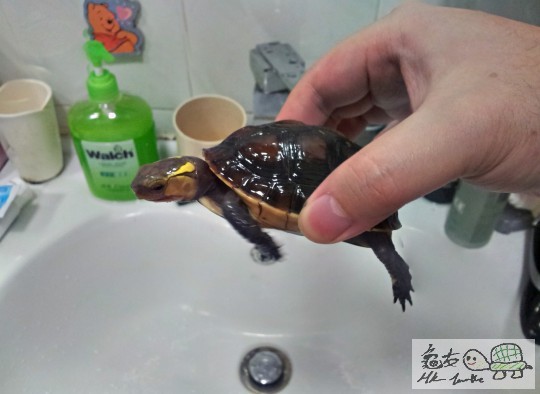 2012-07-04 20.11.33.jpg