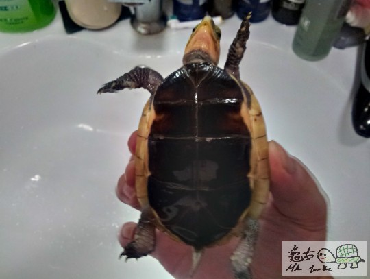 2012-07-04 20.11.47.jpg