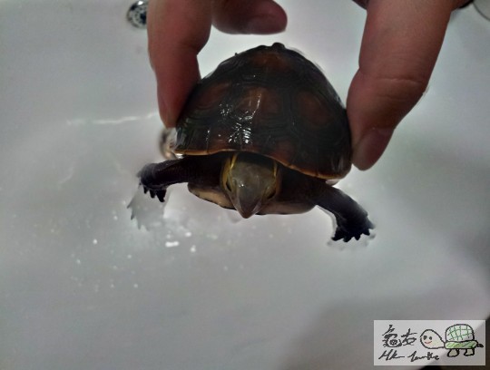 2012-07-04 20.12.12.jpg