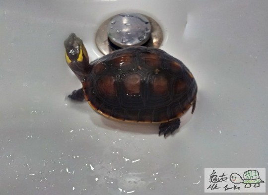 2012-07-04 20.12.35.jpg