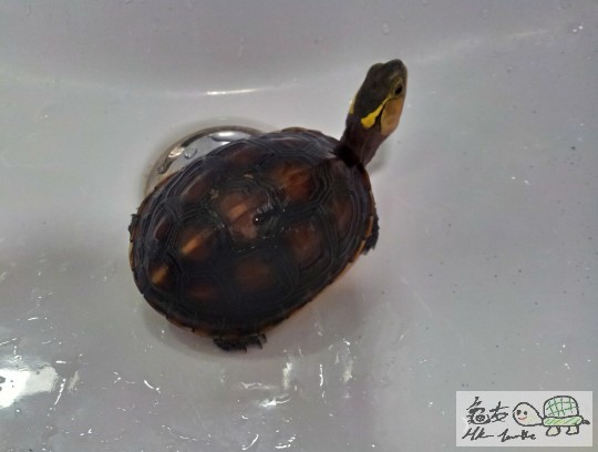 2012-07-04 20.12.58.jpg