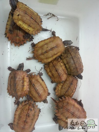 2012-07-26 23_01_55.jpg