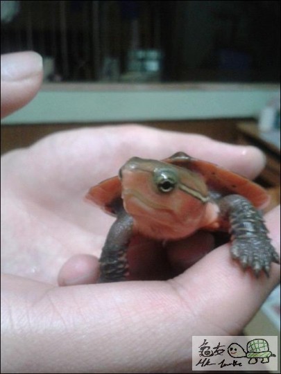 2012-08-03 22.36.22.jpg