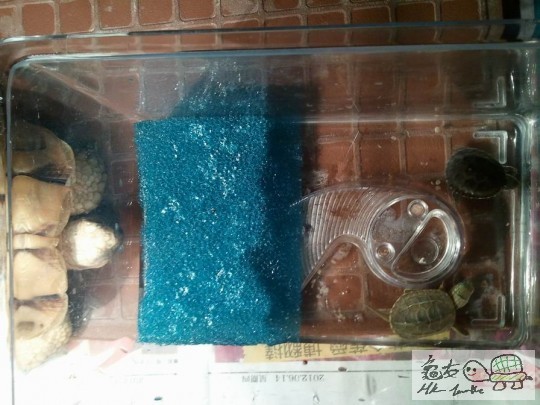 調整大小2012-08-08 19.52.04.jpg