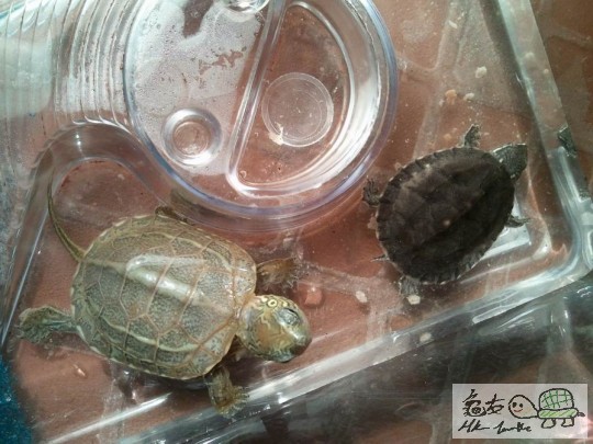 調整大小2012-08-08 19.57.17.jpg