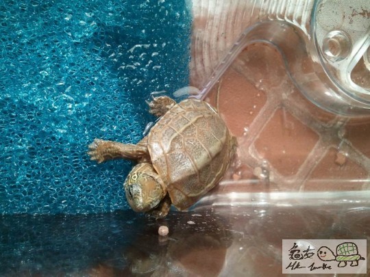 調整大小2012-08-08 19.58.04.jpg