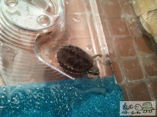 調整大小2012-08-08 19.59.21.jpg