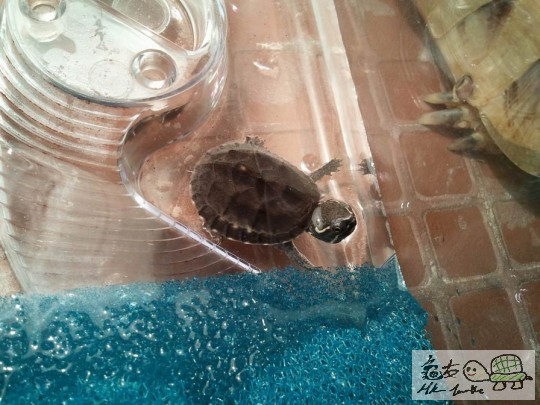 調整大小2012-08-08 19.59.28.jpg