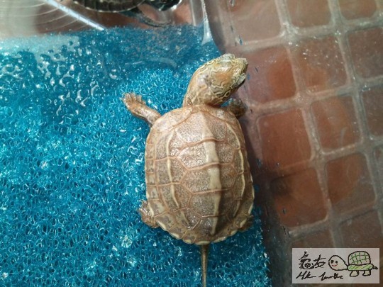 調整大小2012-08-08 20.00.23.jpg