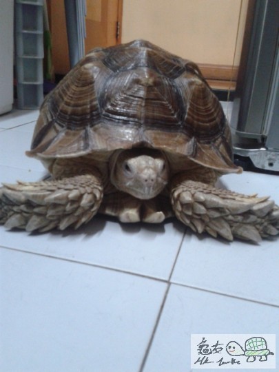 2012-08-13 12.30.19.jpg