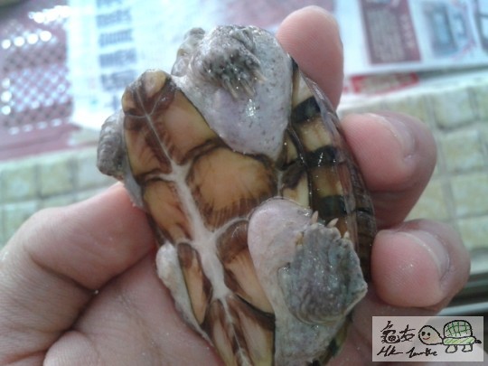 2012-08-21 10.35.34.jpg