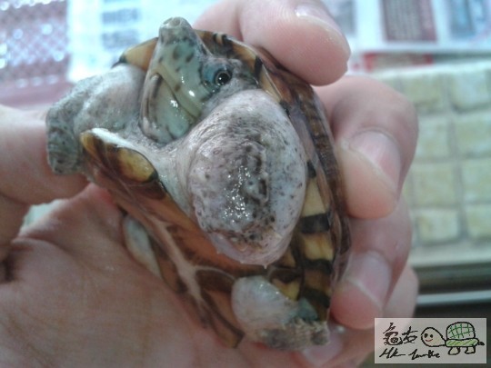 2012-08-21 10.35.42.jpg