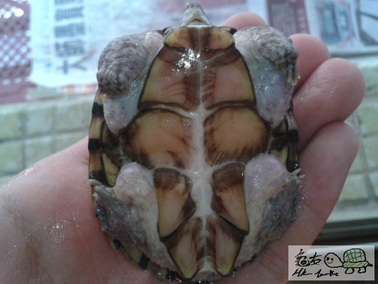 2012-08-21 10.35.47.jpg