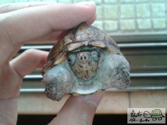 2012-08-21 10.36.03.jpg