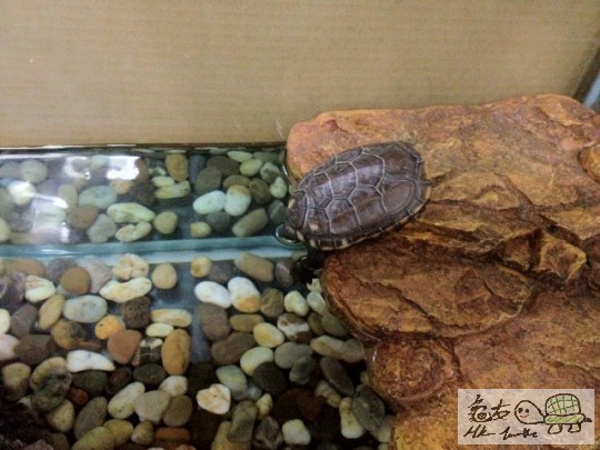 2012-08-19 21.05.27 HDR (640x480).jpg