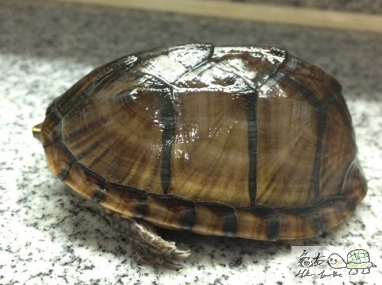 照片 1.JPG