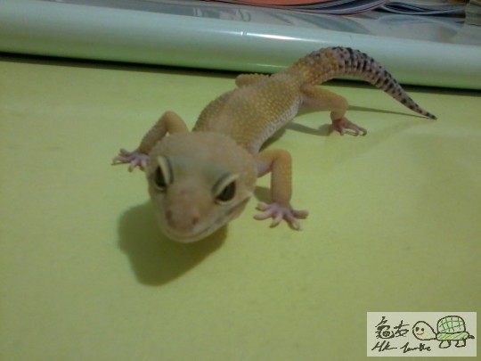 2012-09-03 20.17.51.jpg