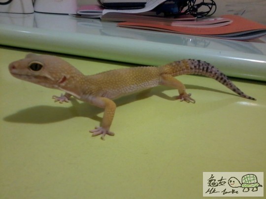 2012-09-03 20.17.55.jpg