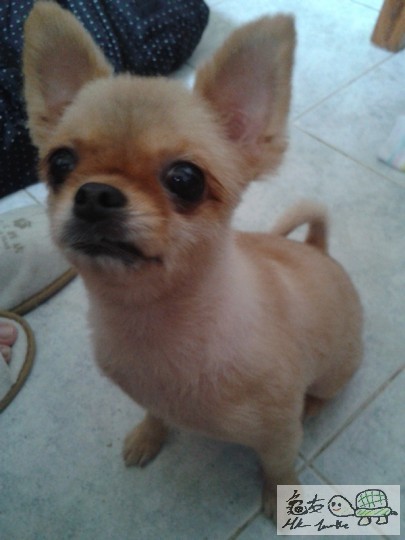 2012-06-18 15.01.31.jpg