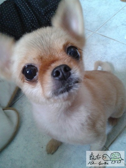 2012-06-18 15.01.50.jpg