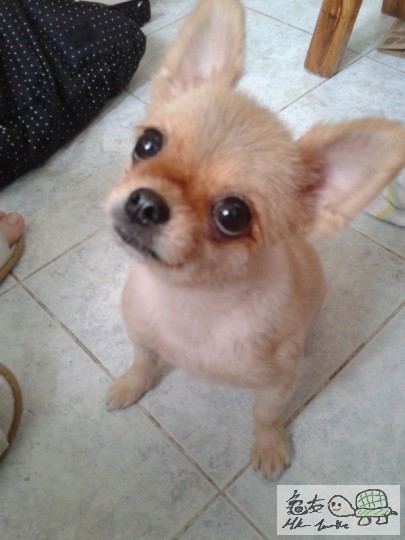 2012-06-18 15.00.58.jpg