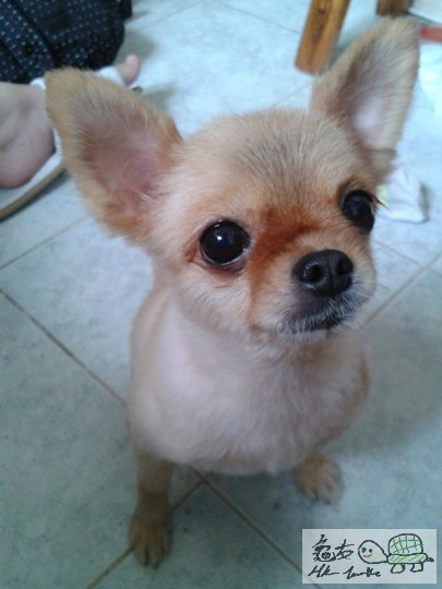 2012-06-18 15.02.35.jpg