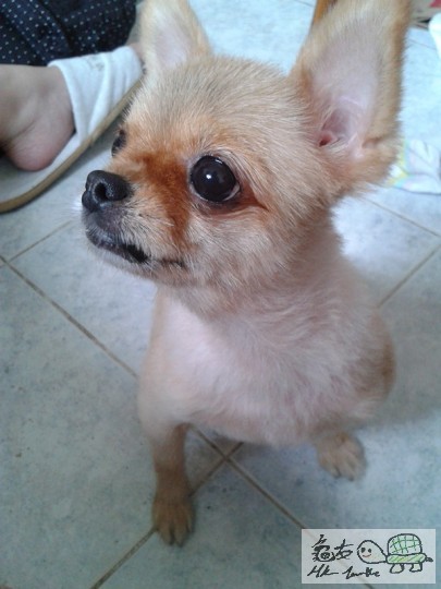 2012-06-18 15.02.40.jpg