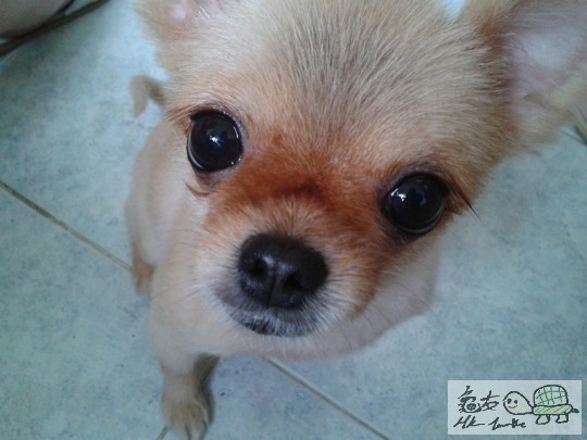 2012-06-18 15.02.52.jpg